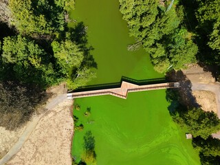 Zigzag Wooden Bridge Over Algae-Covered Lake – Aerial View