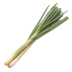An aromatic lemongrass stalk herb for cooking isolated on a transparent background png