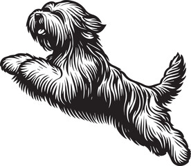 Briard Dog vector in black and white