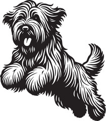 Briard Dog vector in black and white