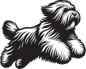 Briard Dog vector in black and white