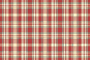 Dress texture check vector folklore pattern