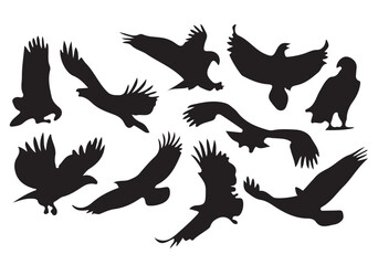 silhouettes of eagle