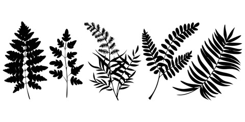 Naklejka premium Ferns Tree Best icons