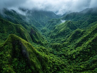 Naklejka premium Aerial View of Lush Green Rainforest Mountains with Fog