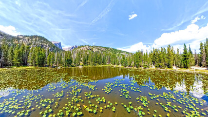 High-angle view of a lake with lily pads in the Rocky Mountains. Nymph Lake in Rocky Mountain National Park, Colorado.