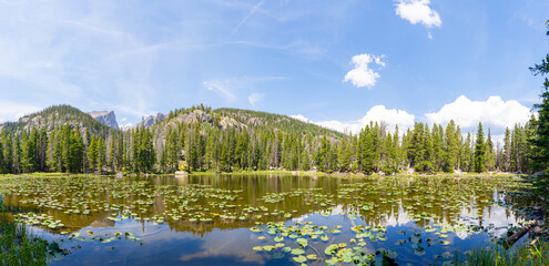 Panorama wide-angle view of a lake with lily pads in the Rocky Mountains. Nymph Lake in Rocky Mountain National Park, Colorado.