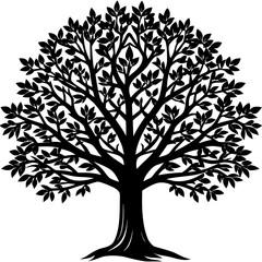  Tree silhouette isolated on white