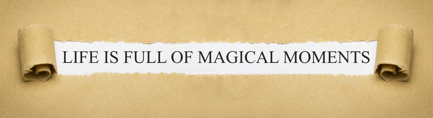Life is full of magical moments