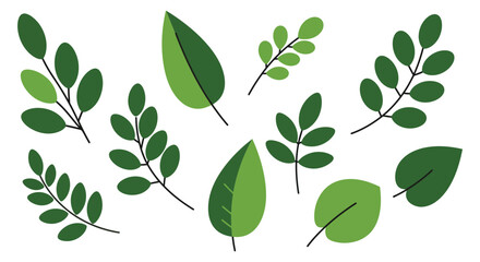 A collection of various green leaves and branches on a white background