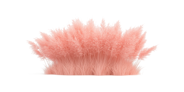 pink grass isolated on white,pink reed plants isolated on transparent background - Powered by Adobe