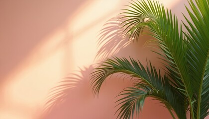 Obraz premium Rich green palm leaves cast soft shadows on pastel pink wall in natural light. Botanical scene offers fresh, tropical vibe, perfect for decor, interior design, summer themes. Organic arrangement