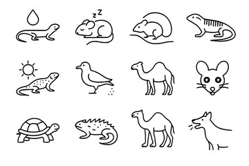 Naklejka premium Desert Animal Adaptations. Outline icon set of Adaptations of desert animals: water conservation, nocturnal