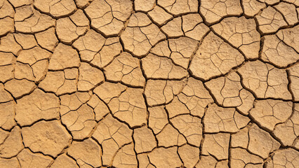 Close-up of dry cracked earth texture with detailed patterns and earthy tones arid drought