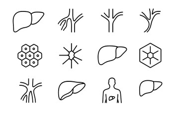 Liver Anatomy Icons. Outline icon set of liver anatomy basics: liver lobes, hepatic artery, portal vein, bile