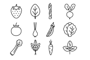 Fresh Produce Icons. Outline vector icons of fresh seasonal produce: strawberry, spinach leaf, asparagus spear
