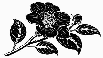 Detailed monochrome illustration of a camellia flower with leaves and a bud on a branch design