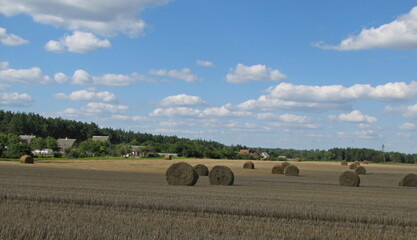 Bales of hay. Summer landscape after harvest with straw.