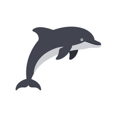 Jumping dolphin vector illustration marine mammal ocean wildlife aquatic animal sea creature isolated eps graphic
