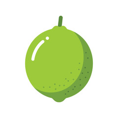 Vibrant green lime vector illustration fresh citrus fruit healthy ingredient