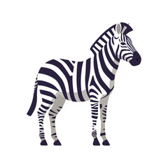 Zebra standing profile vector illustration african wildlife animal striped mammal isolated graphic