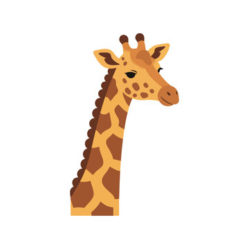 Cute giraffe head illustration safari animal portrait african wildlife art zoo baby giraffe vector graphic
