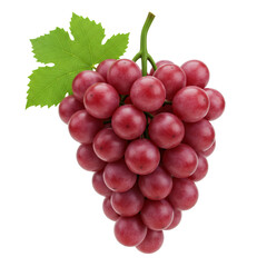 鮮やかな赤色ブドウの房と緑色の葉 透明な背景に分離された果実のクローズアップ