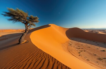 Majestic desert landscape with rolling golden dunes under clear blue sky. Lone, windswept tree clings to sand dune, harsh beauty of arid wilderness. Rippled sand patterns reveal gentle curve of earth.