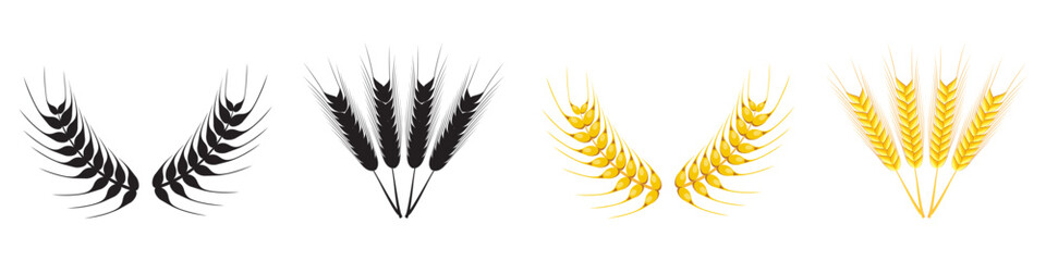 Obraz premium Barley rice grains and elements. Wheat and rye ears Vector illustration.