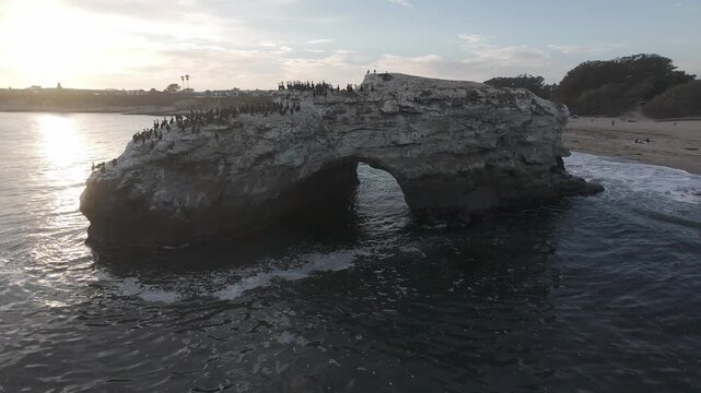 Santa Cruz Natural Bridges RAW Aerial Drone Footage with Seabirds at Sunset