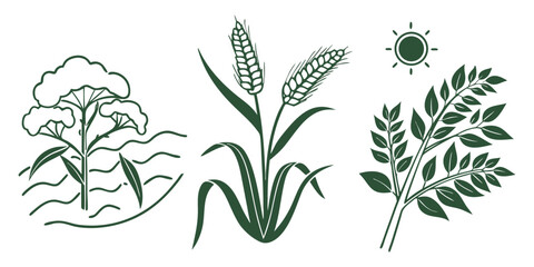 Three stylized green plant illustrations including wheat stalks a leafy branch and a tree with wavy lines