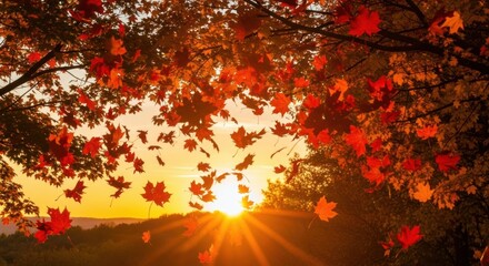 Autumnal leaf fall at sunset in a scenic landscape with fiery hues