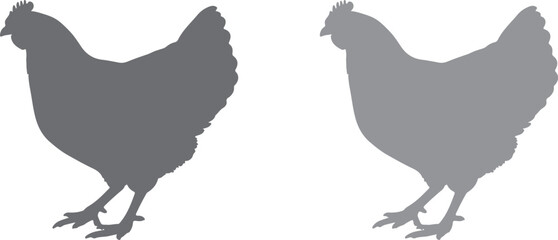  Hens in silhouette white background.full image.