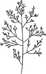 Simple black and white botanical vector illustration - branch with small leaves eps silhouette