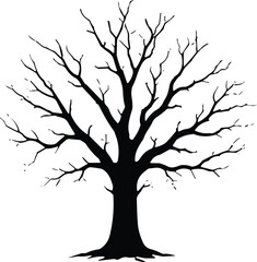 Obraz premium Leafless tree silhouette, bare branches illustration, winter tree graphic, nature design, black tree art vector
