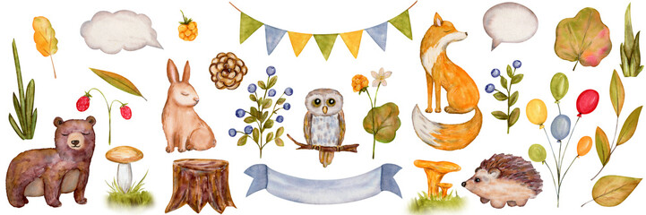  Hand drawn watercolor illustrations of forest animals and flora, ideal for children&rsquo;s books, eco-projects, and nature-inspired designs