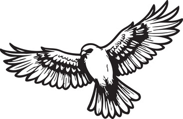 Flying bird vector: eagle, hawk, bird of prey illustration eps silhouette