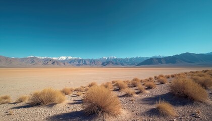 Vast desert playa stretches towards distant, snow-capped mountains under clear blue sky. Sparse, dry brush dot sandy terrain, casting shadows. Arid landscape conveys solitude, immense natural beauty.