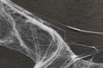 Spider web on black background. Halloween celebration