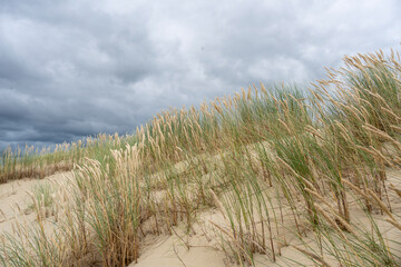 Sand dunes dead dunes stormy sky grass wind protected nature landscape