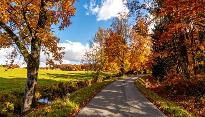 Obraz premium A picturesque autumnal landscape showcases a winding road, bordered by vibrant fall foliage, through a grassy field, under a partly cloudy sky.