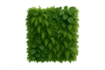 Vertical garden element with transparent background, perfect for architectural visualization or nature-themed projects