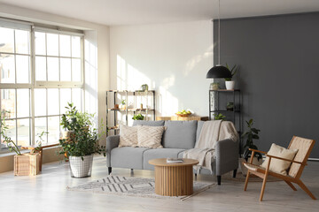 Beautiful interior of modern living room with cozy sofa, armchair, houseplants, shelving units and...