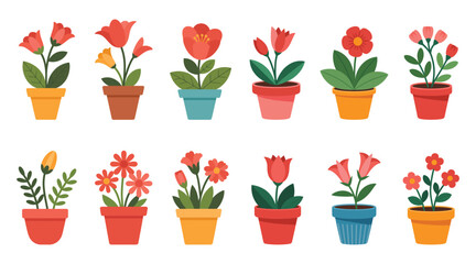 Collection of potted flowers with red and orange blooms isolated on white background