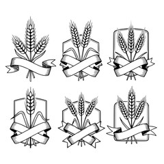 Collection of six vintage wheat crests with ribbons in a hand drawn silhouette style isolated on transparent background