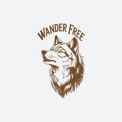 t shirt shirt design 
