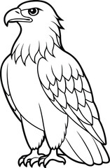 Elegant Bald Eagle Perched Line Illustration.