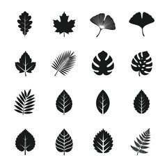 Elegant Black Leaf Silhouettes on White Background, Nature Icons