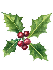 Set of bright watercolor mistletoe and holly berry illustrations. Collection of watercolour Christmas tree branches, leaves and berries for New Year greeting cards and banner decor