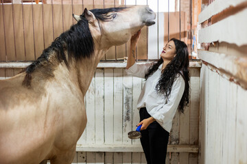 Female equestrian brushing horse coat in barn, animal care concept. Girl cleaning horse in stable,...